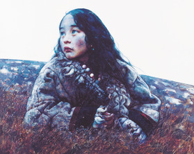 野草在风中摇曳