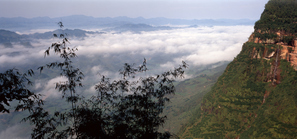 云漫青城山水间
