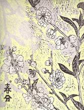 有時-春分 (杏花)