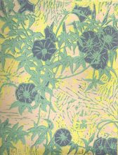 有時-小滿 (牽牛花)