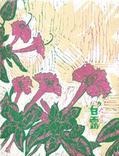 有時-白露 (紫茉莉)