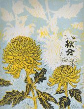 有時-秋分 (菊花)