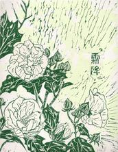 有時-霜降 (木芙蓉)
