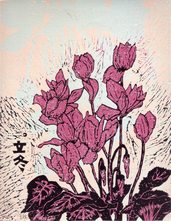 有時-立冬 (仙客來)