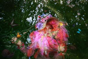 花精灵2