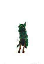 绿狗6